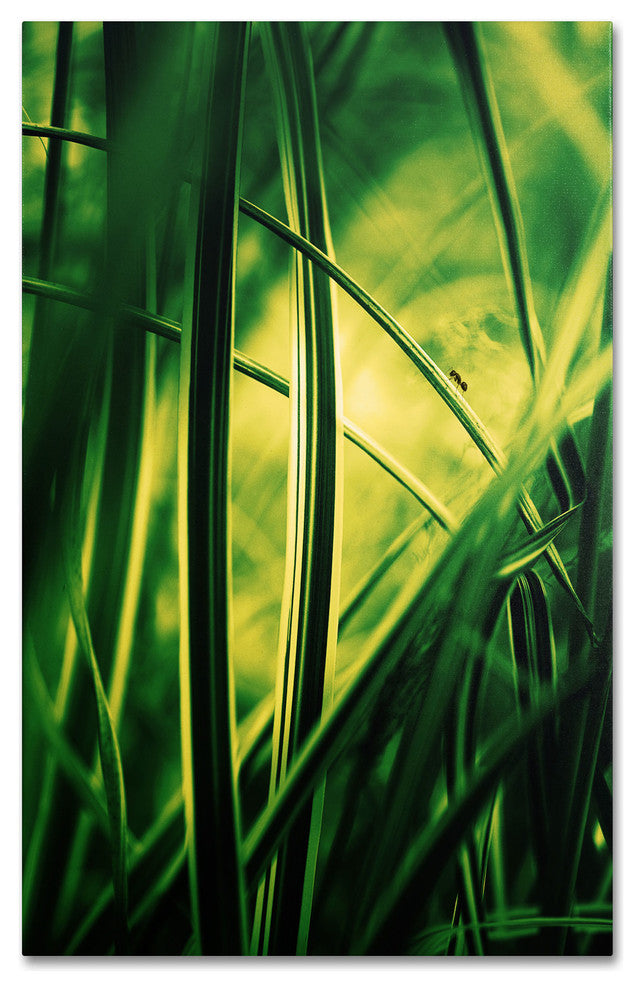 'Miniature' Canvas Art by Philippe Sainte-Laudy