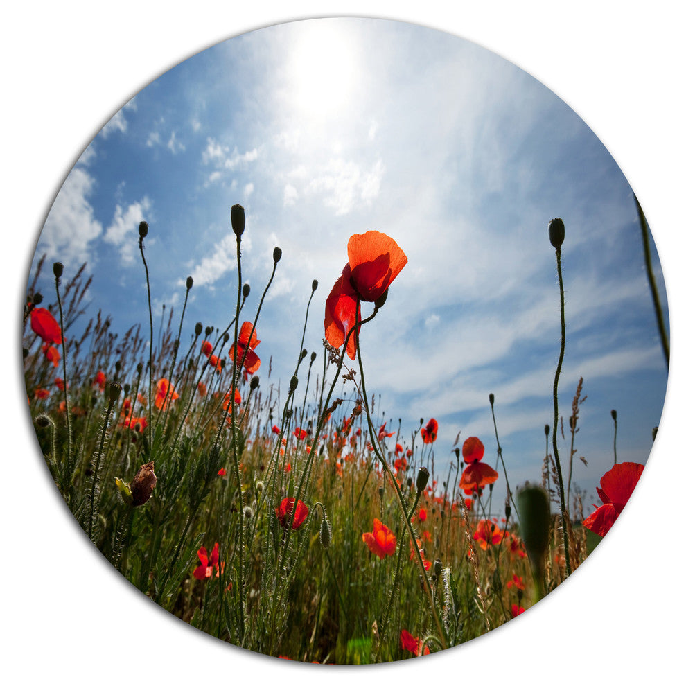 Poppy Flower Field View From Ground, Floral Round Wall Art, 23"