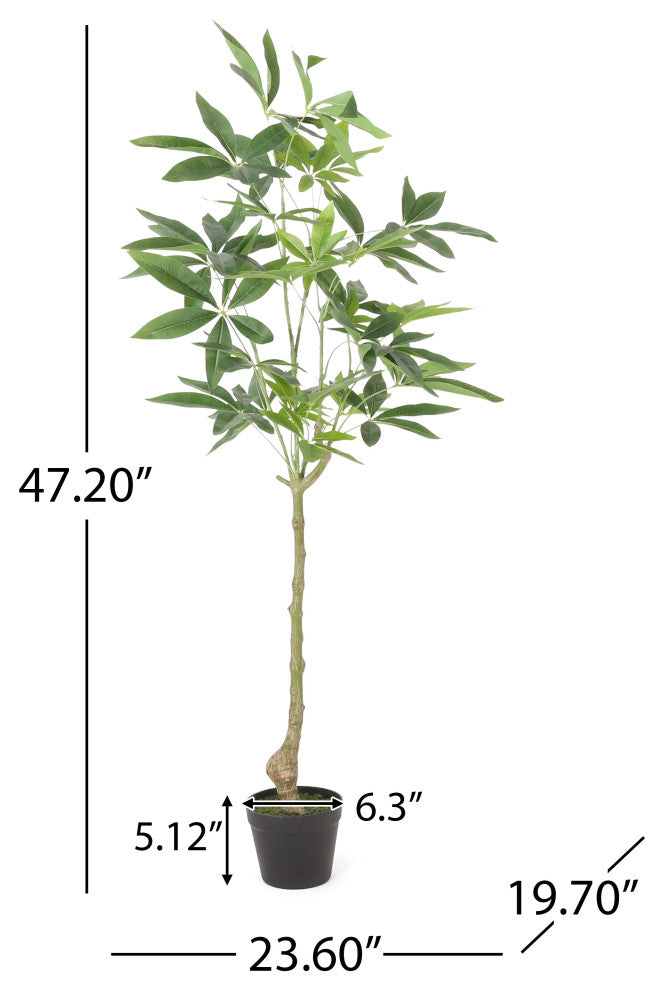 Coles Artificial Money Tree, Green, 23.6wx19.7dx47.2h