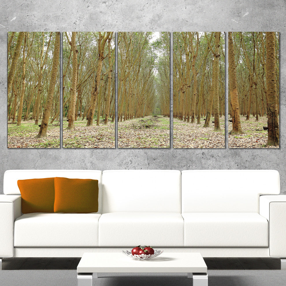 Rubber Trees Row in Thailand, Modern Forest Canvas Art, 60"x28", 5 Panels