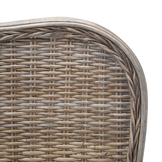 Safavieh Daejon Rattan Bed Grey/Espresso Queen