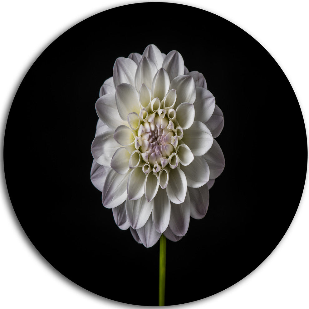 Isolated Dahlia Flower In Black, Floral Disc Metal Artwork, 11"