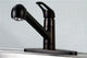 Gourmetier Single-Handle Pull-Out Kitchen Faucet, Oil Rubbed Bronze
