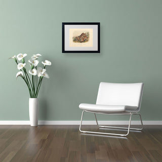 'Northern Hare' Matted Framed Canvas Art by John James Audubon