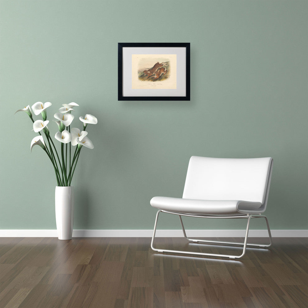 'Northern Hare' Matted Framed Canvas Art by John James Audubon