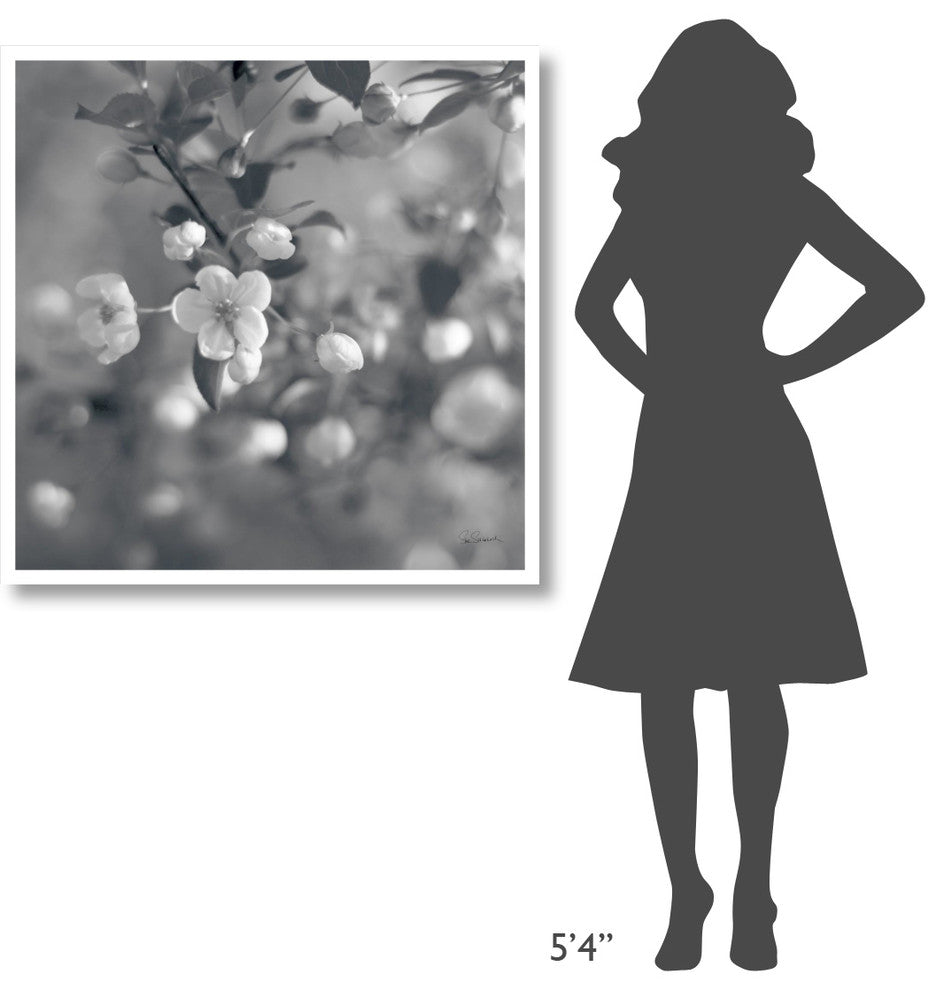 "Blush Blossoms I Square BW" Digital Paper Print by Sue Schlabach, 38"x38"
