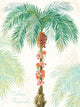 "Flamingo Tropicale Iii" Art Block Framed Canvas, 30"x40"