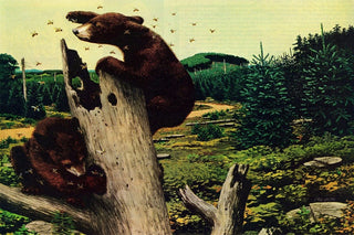 "Honey Bears" Painting Print on Wrapped Canvas