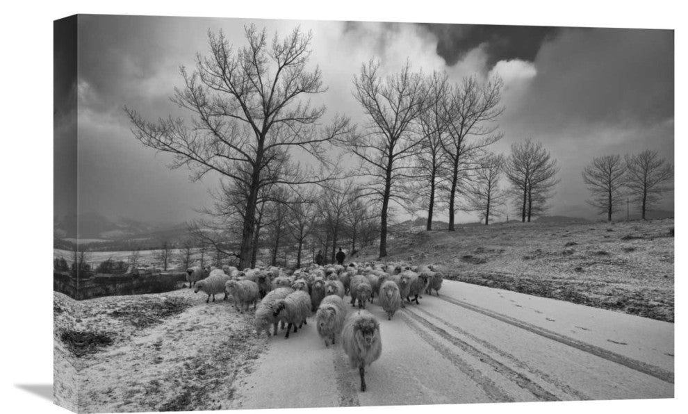"Pastoral" Stretched Canvas Giclee by Julien Oncete, 22x15"