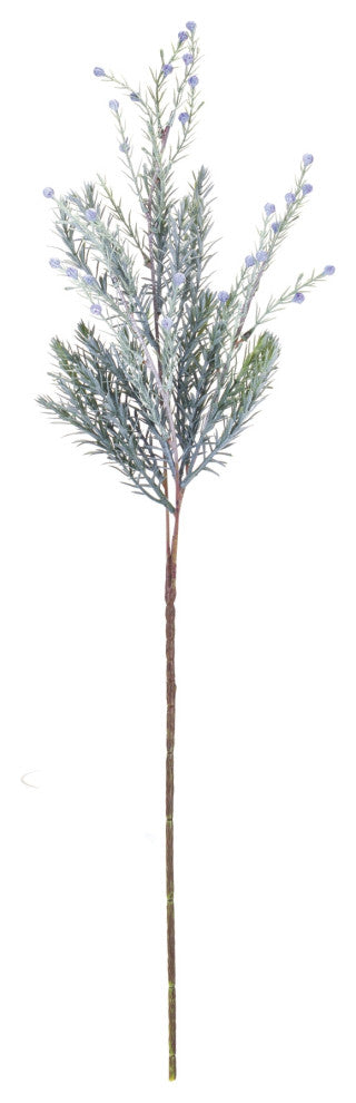 Pine Spray, Set of 6