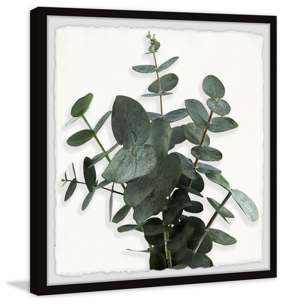 "Green Eucalyptus Leaves" Framed Painting Print, 24x24
