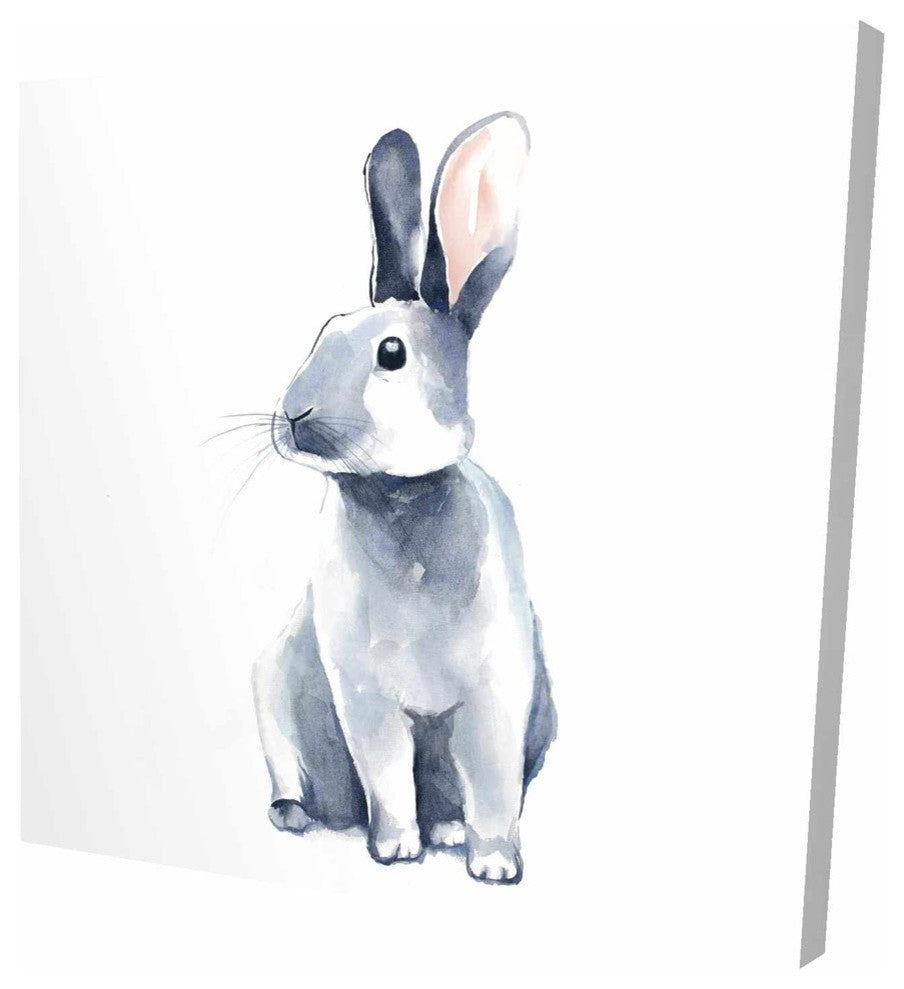 Curious Rex Rabbit, Fine Art Gallery Wrapped Canvas, 24"x24"