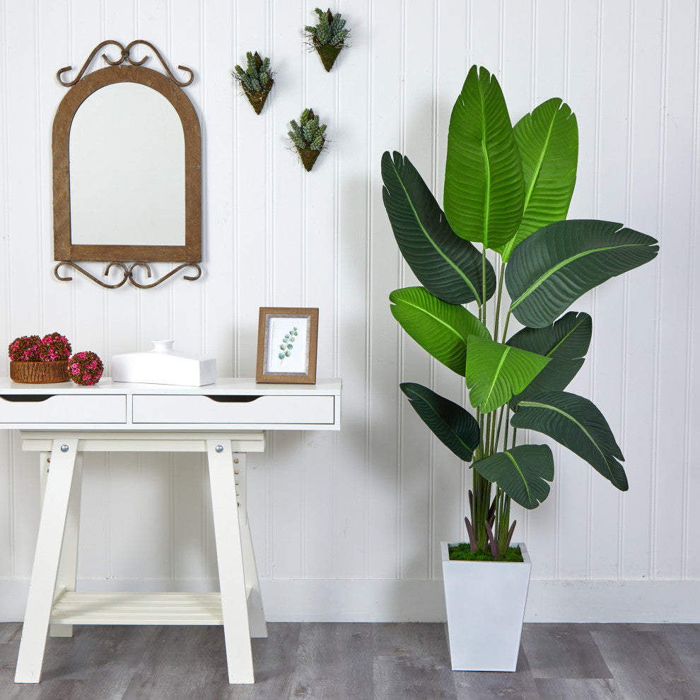 5.5' Travelers Palm Artificial Tree, White Metal Planter