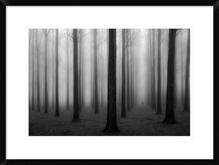 "In A Fog" Framed Digital Print by Jochen Bongaerts, 30x22"