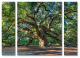 Pierre Leclerc 'Angel Oak Charleston' Multi Panel Art Set, 32"x24"