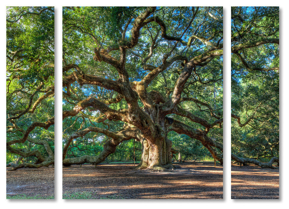 Pierre Leclerc 'Angel Oak Charleston' Multi Panel Art Set, 32"x24"