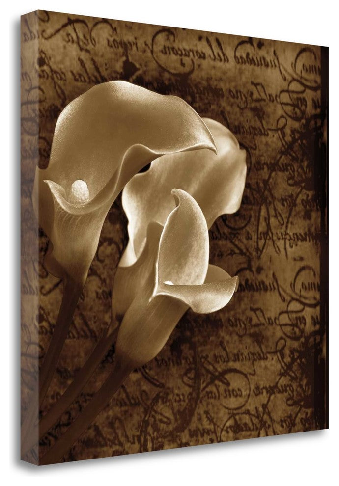 "With Love II" By Ily Szilagyi,Ready to Hang Giclee Print on Gallery Wrap Canvas