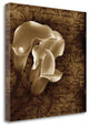 "With Love II" By Ily Szilagyi,Ready to Hang Giclee Print on Gallery Wrap Canvas