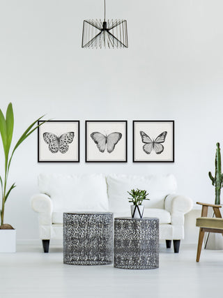 Spread Your Wings and Fly Triptych, 3-Piece Set, 18x18 Panels
