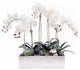 Modern Cream White Orchid Arrangement