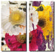Painted Petals LXXXVI Canvas Art, 2-Piece Set
