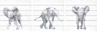 Baby Elephant Walk Triptych, 3-Piece Set, 24x24 Panels