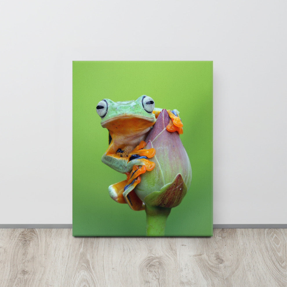 Tiny Green Tree Frog on Lotus Bloom Wildlife Floral Photo Canvas Wall Art Prints, 16" X 20"