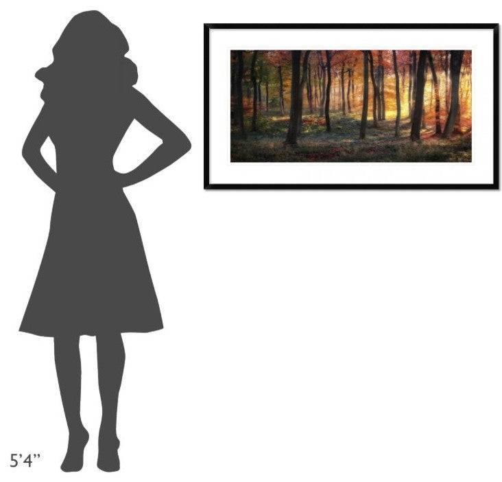 "Autumn Woodland Sunrise" Framed Digital Print by Photokes, 44x24"