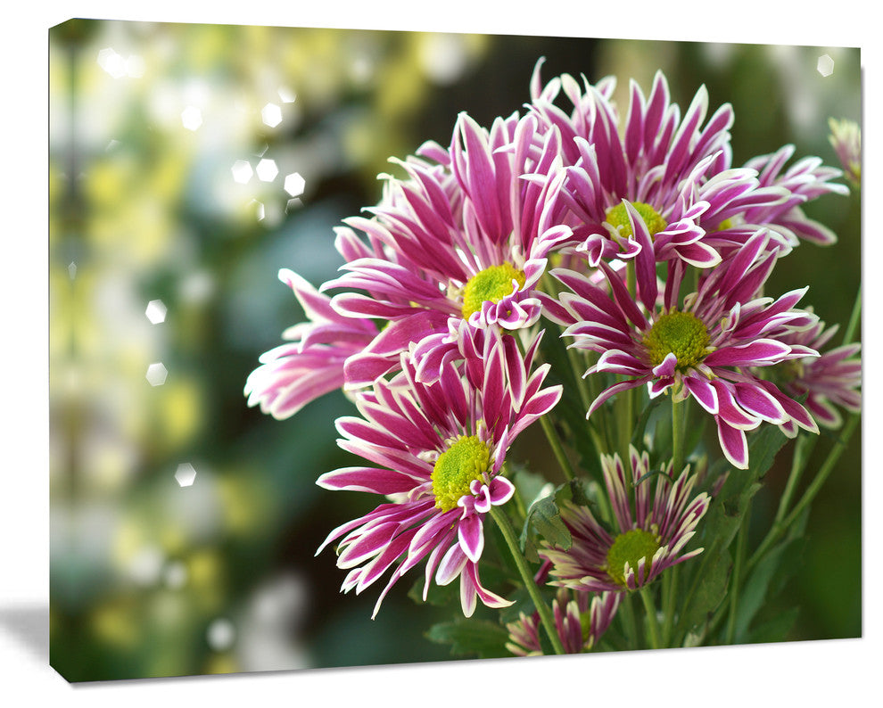 Purple Chrysanthemum Flower, Large Floral Canvas Art Print, 60x40