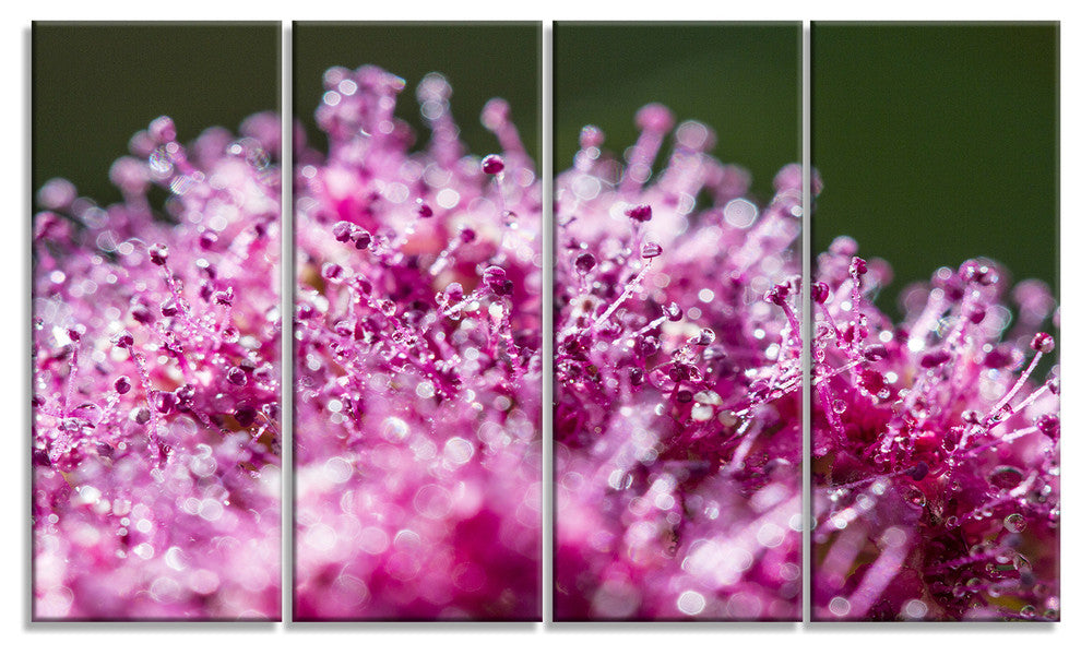 "Pink Little Flowers Close-Up View" Floral Wall Art, 48"x28", 4-Panels
