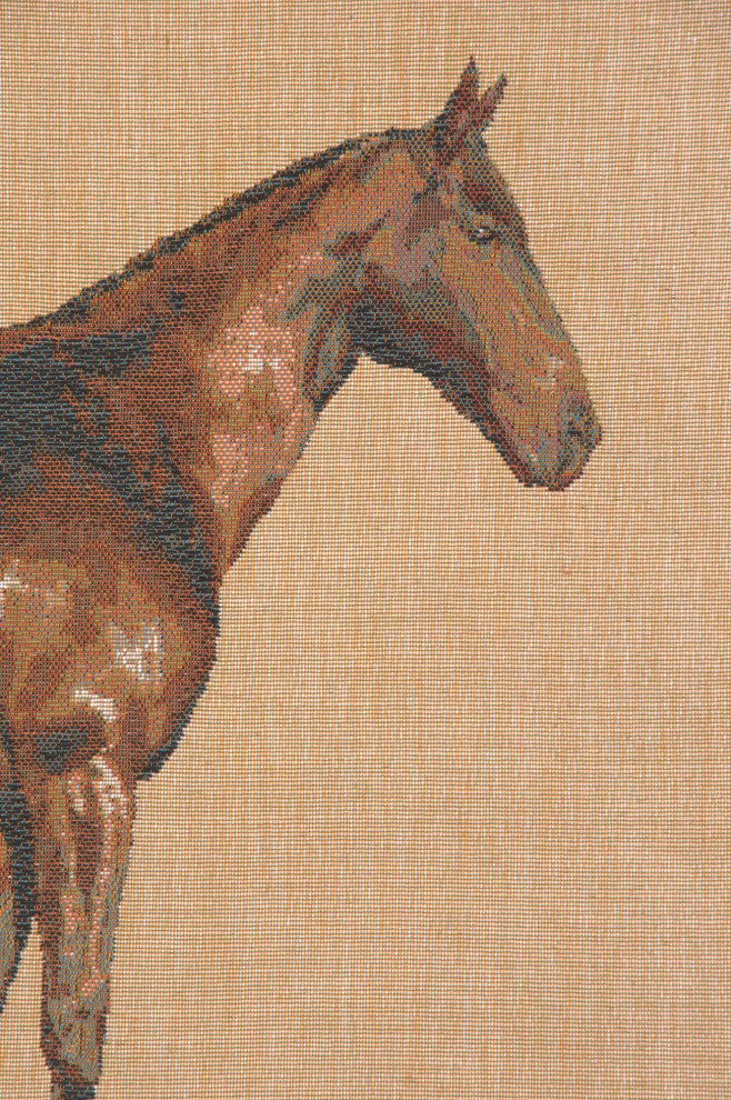 Horse Light I European Cushion Cover