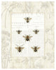 "Bee Botanical" Digital Paper Print by Sue Schlabach, 30"x37"