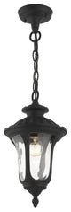 Textured Black Traditional, Victorian, Sculptural, Outdoor Pendant Lantern