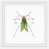 "Green Fly" Framed Painting Print, 32"x32"