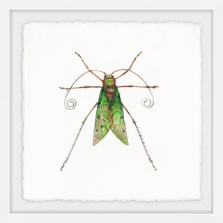 "Green Fly" Framed Painting Print, 32"x32"