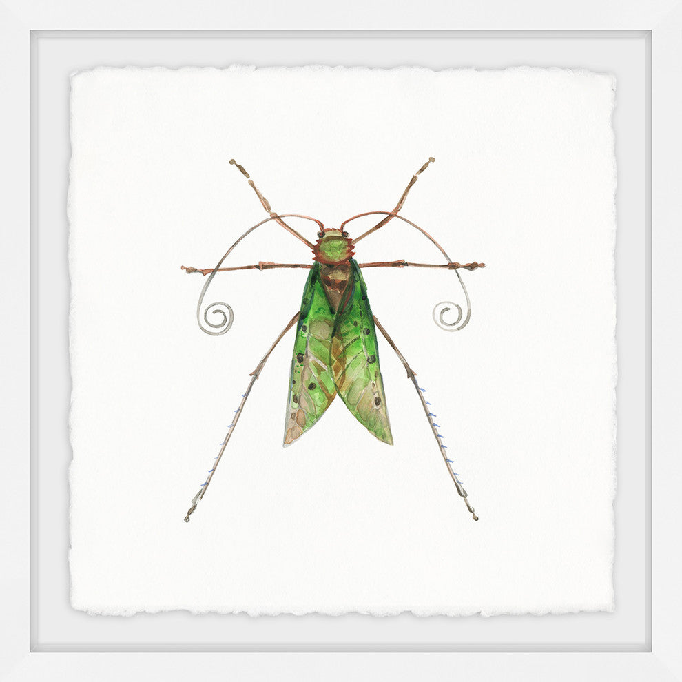 "Green Fly" Framed Painting Print, 32"x32"