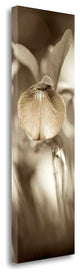 "Florison - 73" By Alan Blaustein, Giclee Print on Gallery Wrap Canvas