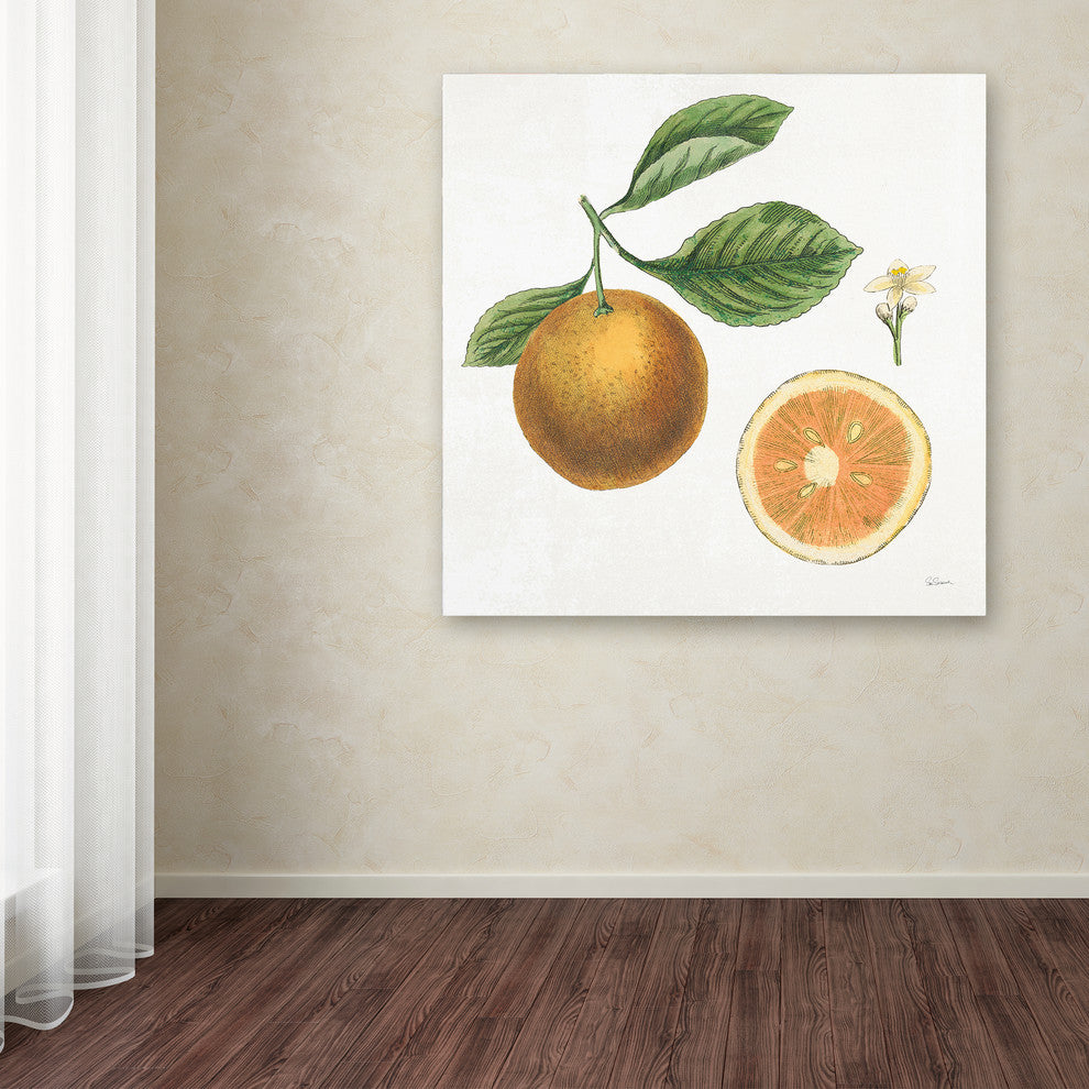 Sue Schlabach 'Classic Citrus IV' Canvas Art, 14" x 14"