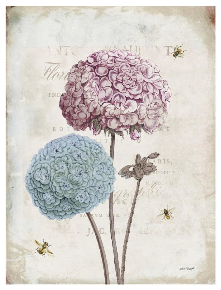 "Geranium Study II Pink Flower" Digital Paper Print by Katie Pertiet, 32"x42"