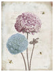 "Geranium Study II Pink Flower" Digital Paper Print by Katie Pertiet, 32"x42"