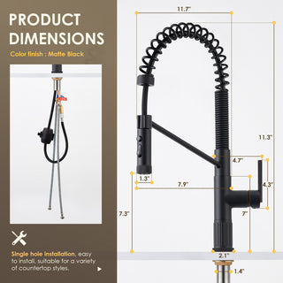 Nette Single-Handle Kitchen Faucet With Pull Down Sprayer, Matte Black