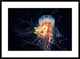 "Giant LionS Mane" Framed Digital Print by Alexander Semenov, 38"x28"