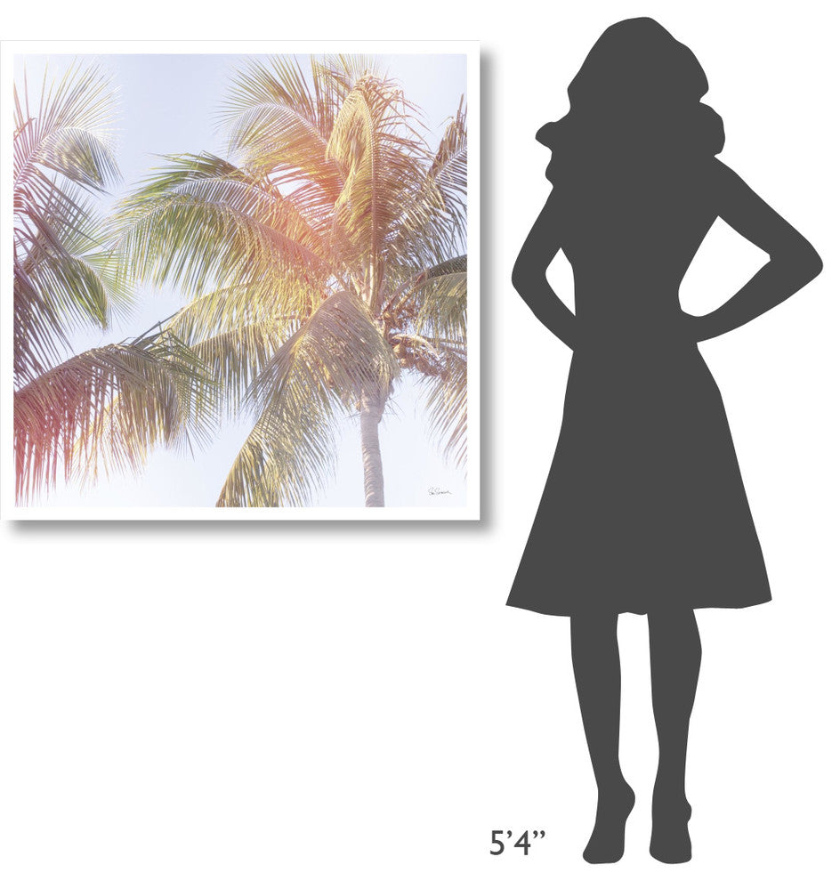 "Dream Palm III" Digital Paper Print by Sue Schlabach, 38"x38"