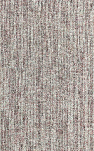Sonoma Beige Area Rug, 3.3'x5.3'