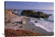 "Beach Near San Simeon Creek, Big Sur, California" Artwork