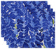 Flower Bell Floral Print Placemats, Set of 4, Blue, 18"x14"