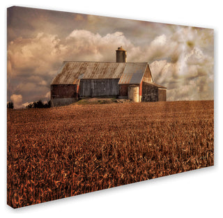 'Light for the Farm' Canvas Art by Lois Bryan