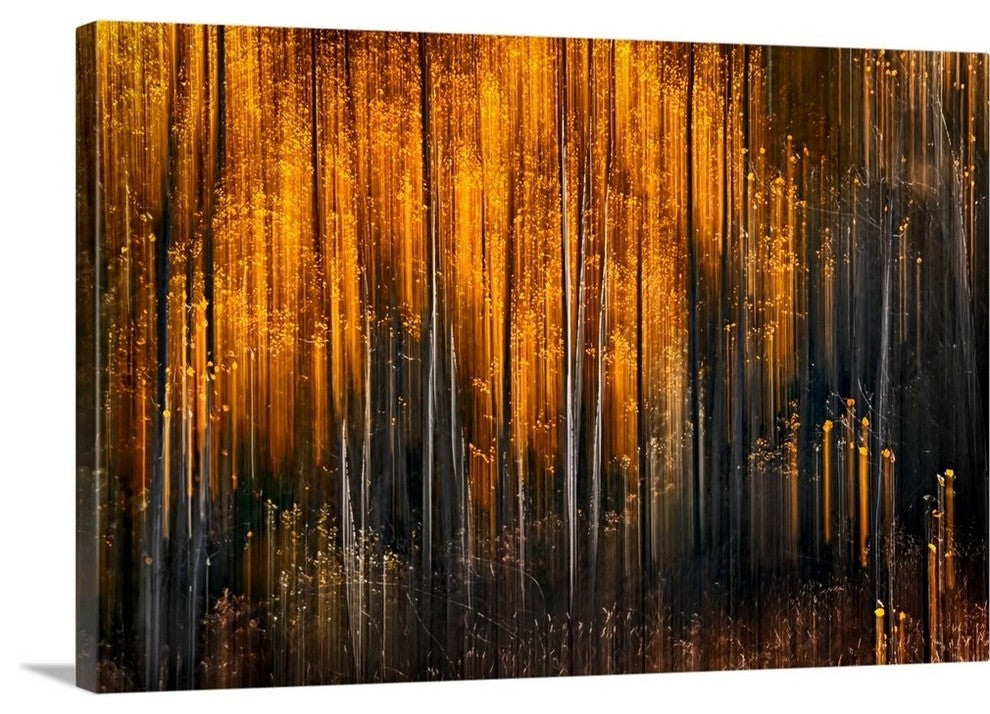 "Falling Stars" Wrapped Canvas Art Print, 24"x16"x1.5"