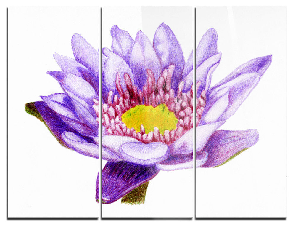 "Hand-drawn Purple Lotus" Metal Wall Art, 3 Panels, 36"x28"