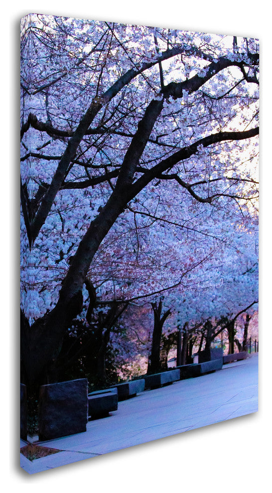 CATeyes 'Cherry Blossom Shade' Canvas Art, 30x47